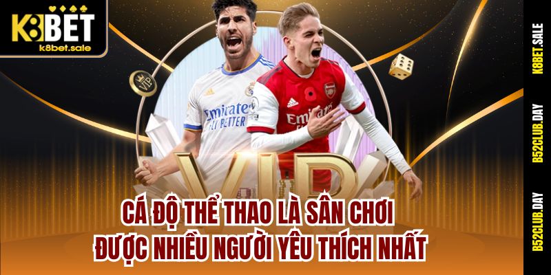 ca-do-the-thao-la-san-choi-duoc-nhieu-nguoi-yeu-thich-nhat